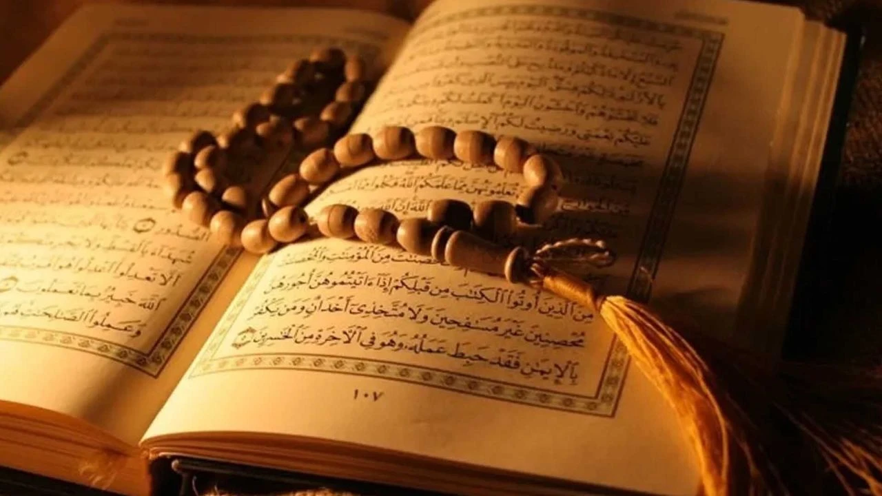 Yıl Sonu Piknik Etkinliği